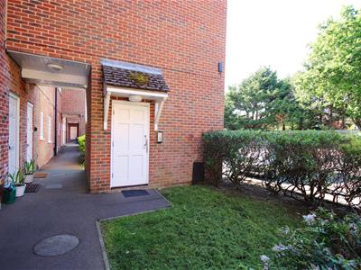 Picture 11